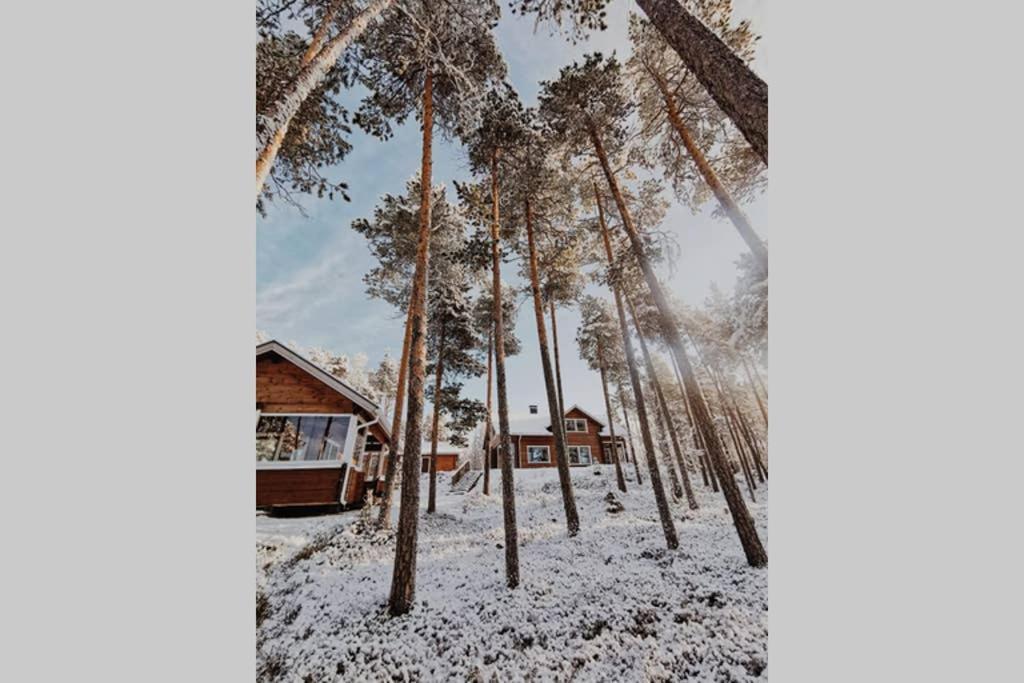 Villa Autumn Leaf Ivalo Extérieur photo